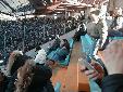 Ingrandisci la Foto
