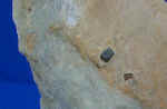 Pirite su Marmo