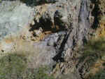arg53.jpg (36103 byte)