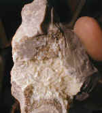 dolomite