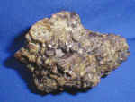 Vesuviana